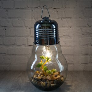 Декоративный подвесной светильник - флорариум Лампочка с Крассулой 23 см, теплая белая LED подсветка, IP20 Boltze фото 1