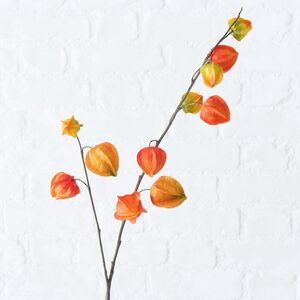 Искусственная ветка Физалис 90 см оранжевый Boltze фото 9