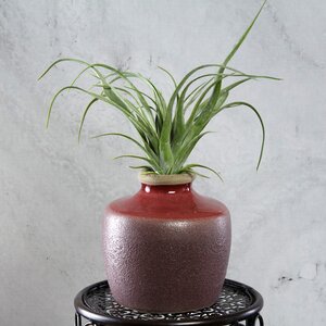 Керамическая ваза Леди Винтер 14 см Edelman фото 1