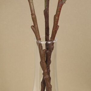 Стеклянная ваза Fiaba 21 см Edelman фото 3