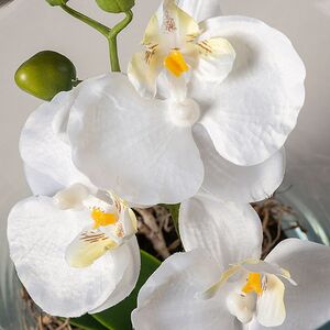 Искусственный цветок в кашпо Орхидея Королевская 30 см белая Edelman фото 2