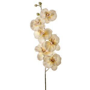 Ветка Цветущая Орхидея заснеженная белая 75 см Edelman фото 1
