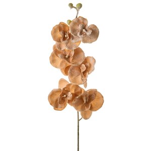 Ветка Цветущая Орхидея заснеженная кремовая 75 см