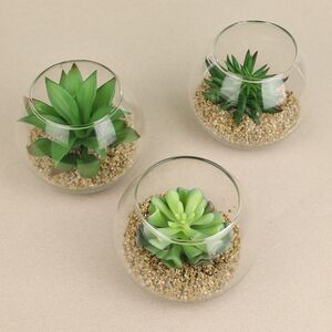 Искусственный флорариум Крассула Сансет 12 см Edelman (Эдельман) фото 3