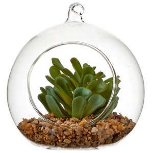 Искусственный флорариум-шар Аравийская Крассула 13 см Edelman фото 2