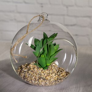 Искусственный флорариум-шар Гастерия Флоу 15 см Edelman фото 1