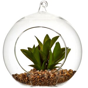 Искусственный флорариум-шар Гастерия Флоу 15 см Edelman фото 2
