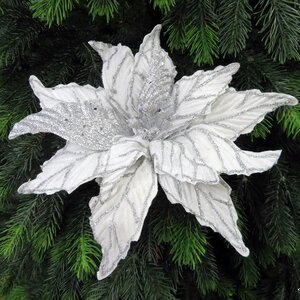 Пуансеттия Stella di Natale - White&Silver 30 см, клипса Edelman фото 1