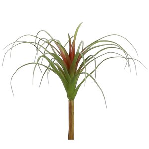 Искусственное растение Колумбийская Тилландсия 26*24 см Edelman фото 2