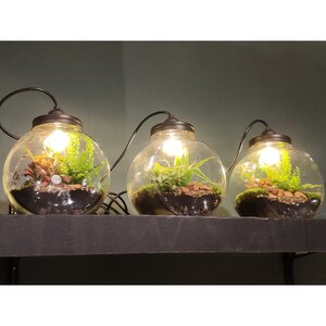Стеклянная ваза с подсветкой для флорариума и композиций Глациус 24*14 см, IP20 Edelman фото 5