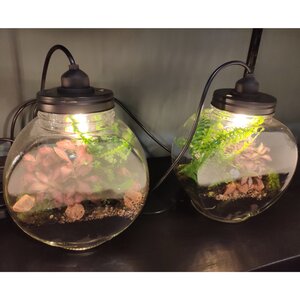 Стеклянная ваза с подсветкой для флорариума и композиций Глациус 24*14 см, IP20 Edelman фото 6