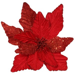 Пуансеттия Грациозная Жозефин 36 см красная, клипса Edelman фото 1