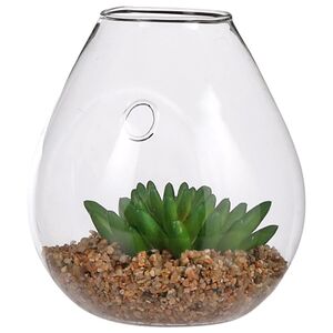 Настенный искусственный флорариум Аффинис 12*11 см Edelman (Эдельман) фото 2