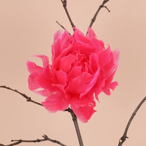 Искусственный цветок из перьев Dafne 12 см розовый, клипса Edelman фото 2