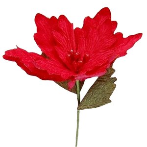 Пуансеттия на стебле Романтик 75 см красная Hogewoning фото 1