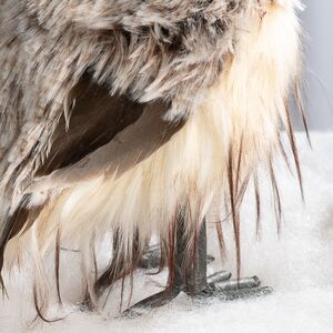 Декоративная фигура Сова Элисия - Долина Дхавии 20 см Winter Deco фото 4