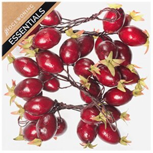 Декоративные ягоды Сочный Шиповник на проволоке 36 шт Hogewoning фото 1