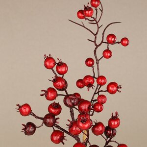 Декоративная ветка с ягодами Arundelio 54 см Edelman фото 3
