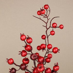 Декоративная ветка с ягодами Arundelio 54 см Edelman фото 2