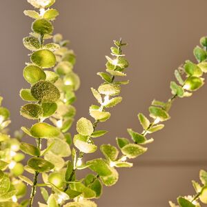 Светящаяся ветка Эвкалипт Майсана 90 см, 50 теплых белых LED ламп, таймер, на батарейках, IP44 Edelman фото 3