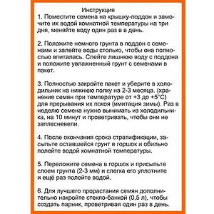 Набор для выращивания дерева Пальма Rostokvisa (Ростоквиса) фото 4