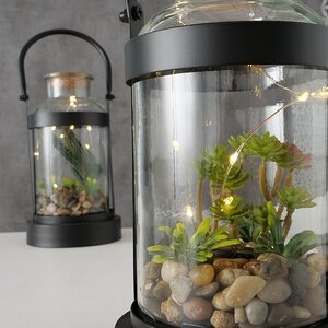 Декоративный светильник-флорариум Тринити с Крассулой 23 см, теплая белая LED подсветка, стекло, IP20 Boltze фото 3