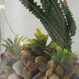 Декоративный светильник-флорариум Тринити с Кактусом 23 см, теплая белая LED подсветка, стекло, IP20 Boltze фото 4