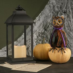 Тянущаяся Паутина на Хэллоуин + 2 паука Koopman фото 9