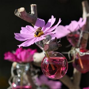 Краситель для воды 150 мл розовый Ideas4Seasons (Идеас Фор Сезонс) фото 2
