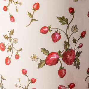 Банка для хранения Sweet Strawberries 17 см, 2 шт Boltze (Больтце) фото 7
