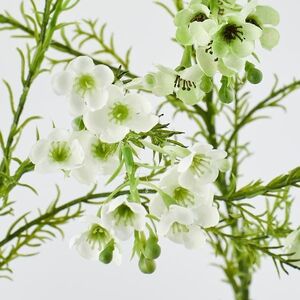 Искусственные ветки Хамелациум - Camoreli 27 см, 2 шт EDG фото 9