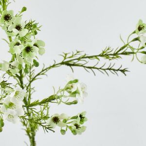 Искусственные ветки Хамелациум - Camoreli 27 см, 2 шт EDG фото 7