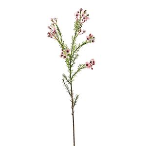 Искусcтвенная ветка Хамелациум Курано 67 см EDG фото 14