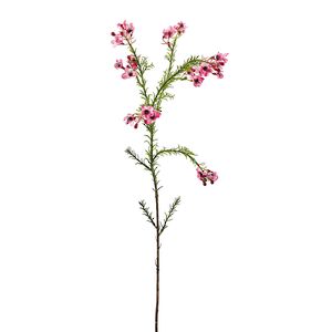 Искусcтвенная ветка Хамелациум Курано 67 см EDG фото 15