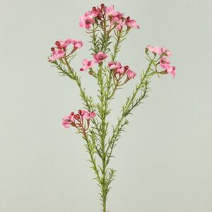 Искусcтвенная ветка Хамелациум Курано 67 см EDG фото 5