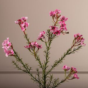 Искусcтвенная ветка Хамелациум Курано 67 см EDG фото 2