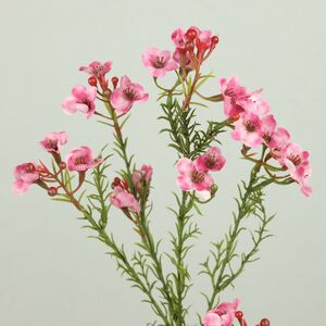 Искусcтвенная ветка Хамелациум Курано 67 см EDG фото 6