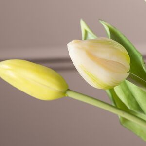 Силиконовые тюльпаны Идальго 9 шт, 29 см зеленые EDG фото 5