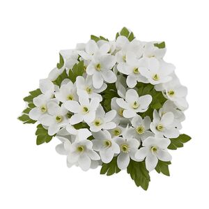 Венок для свечи Гипсофила - Biancotte 10 см EDG фото 6