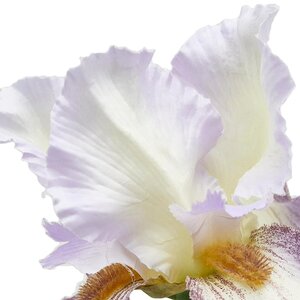 Искусственный цветок Ирис - Carmelo 80 см EDG фото 5