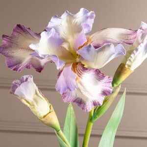 Искусственный цветок Ирис - Кармело 80 см EDG (ЭДГ) фото 2