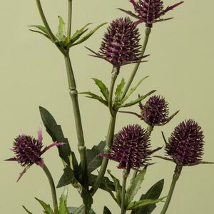 Искусственная ветка Эрингиум - Spring Dream 50 см EDG фото 2