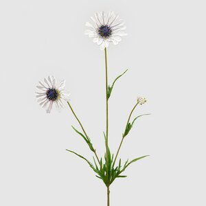 Искуcственный цветок Scabiosa - Perfecta White 65 см EDG фото 4