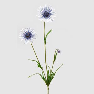 Искуcственный цветок Scabiosa - Perfecta Blue 65 см EDG фото 8