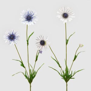 Искуcственный цветок Scabiosa - Perfecta Blue 65 см EDG фото 9