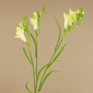 Искуcственный цветок Фрезия - Refracta Alba 65 см EDG фото 1