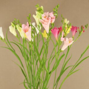 Искуcственный цветок Фрезия - Refracta Alba 65 см EDG фото 2