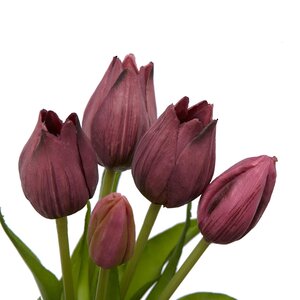 Силиконовые цветы Тюльпаны Parateo 5 шт, 26 см фиолетовые EDG фото 6