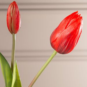 Силиконовые тюльпаны Стелла Аризона 5 шт, 40 см EDG фото 5