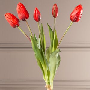 Силиконовые тюльпаны Стелла Аризона 5 шт, 40 см EDG фото 3